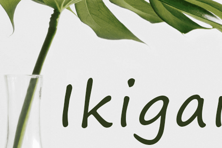 ikigai