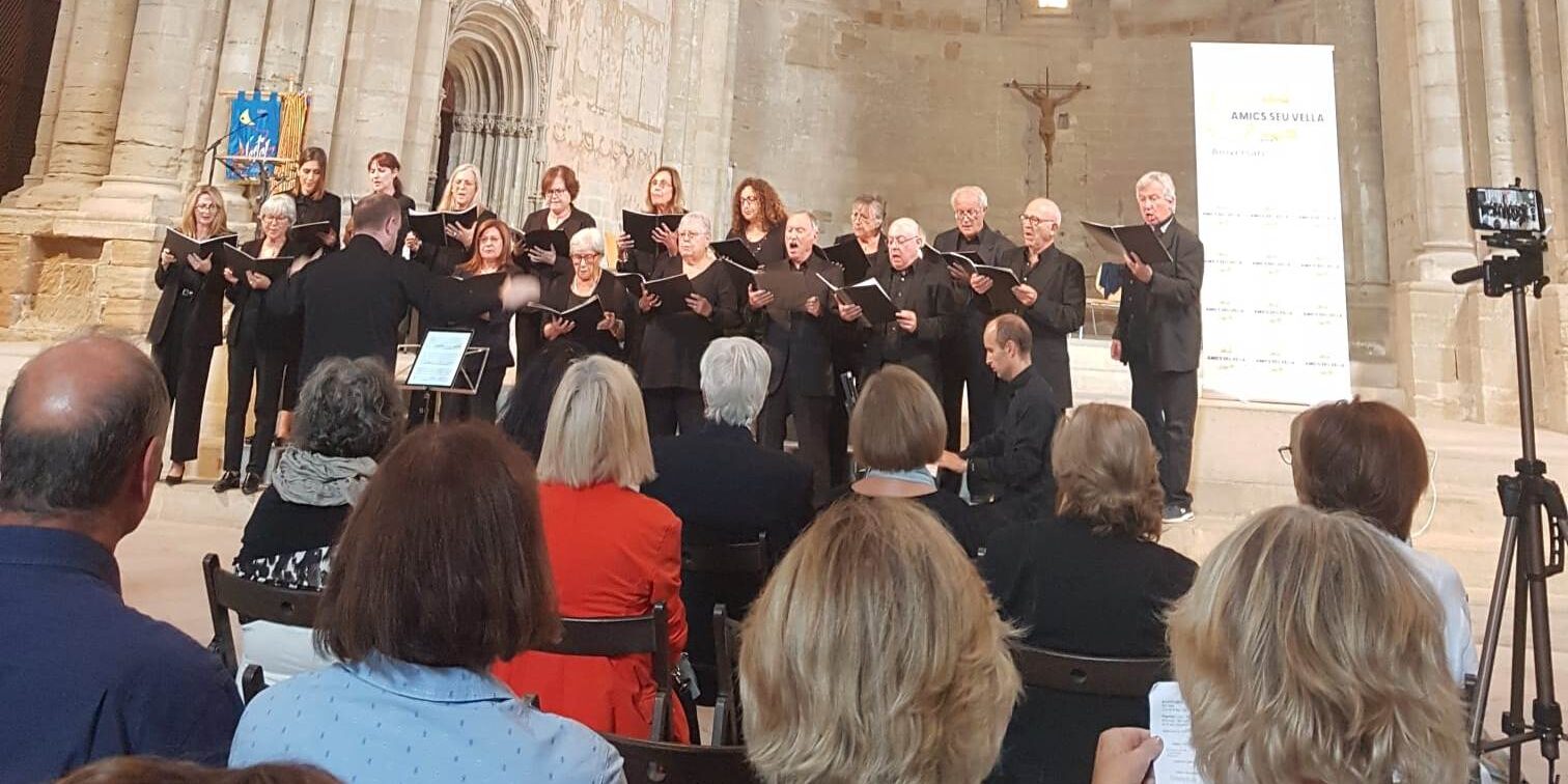 Caelum lleida(2)