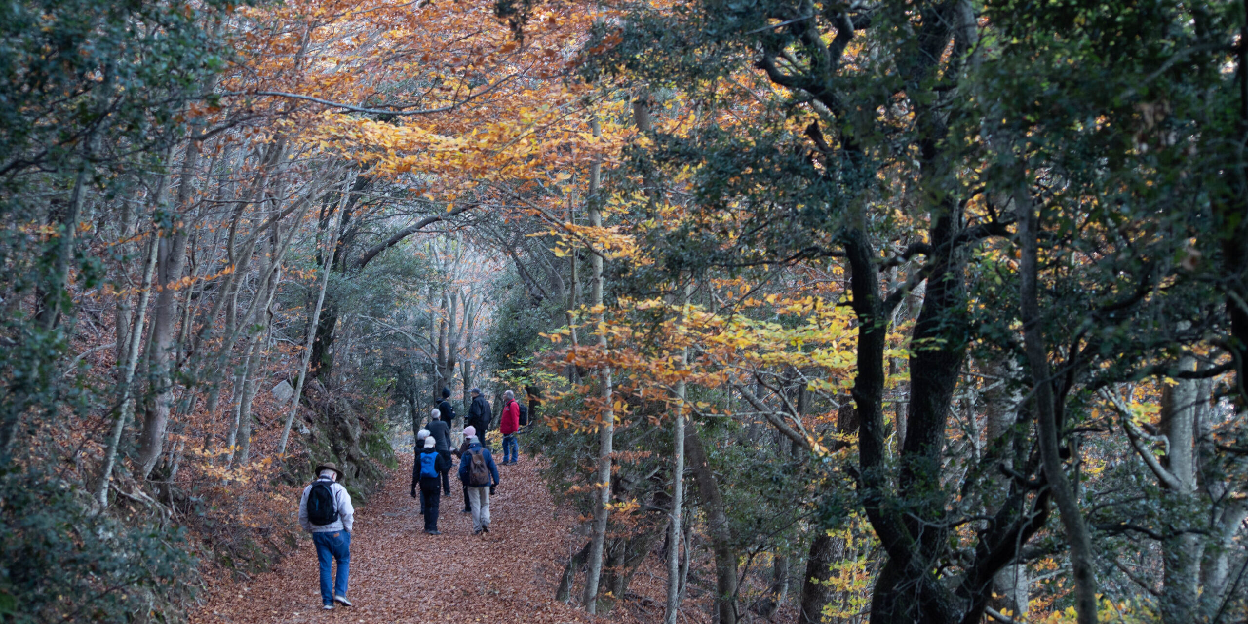 Montseny